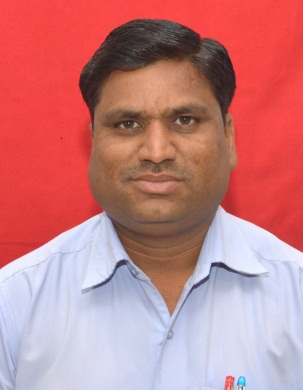 Shri. Lamkane B.B 